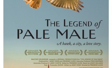 The Legend of Pale Male Movie Font The Legend of Pale Male Movie Font